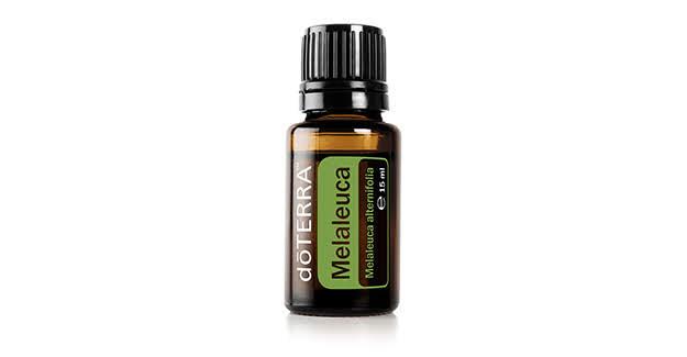 Teebaumöl - Melaleuca - reinstes ätherisches Öl  15 ml
