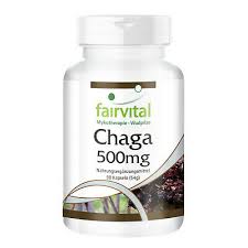 Chaga – Dose 90 Kapseln   à 500 mg