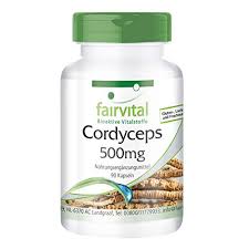 Cordyceps  – Dose 90 Kapseln  à 500 mg