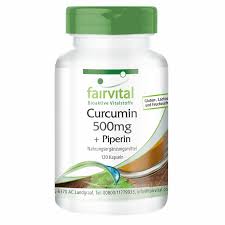 Curcumin  + Piperin – Dose 120 Kapseln  à 500mg