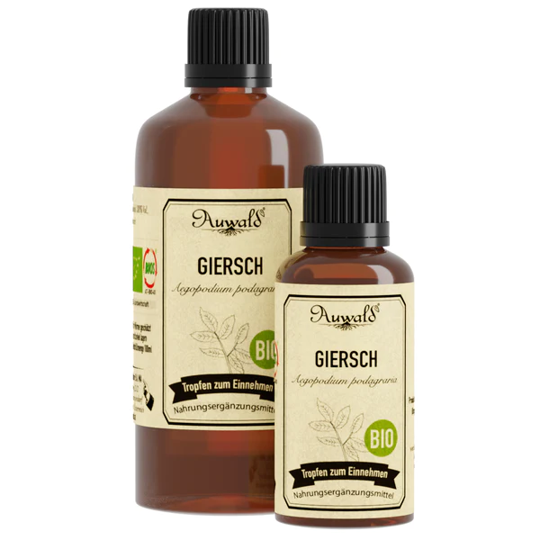 Giersch – BIO Tropfen (Auszug, Extrakt, Essenz)