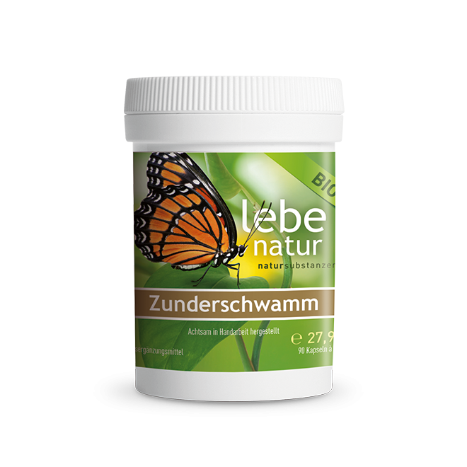 Zunderschwamm Vitalpilz BIO – DOSE 90 KAPSEL à 310 mg